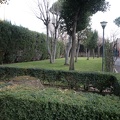  Suore Discepole G. E. Villa Armellini