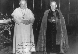 Raffaello con San Giovanni XXIII