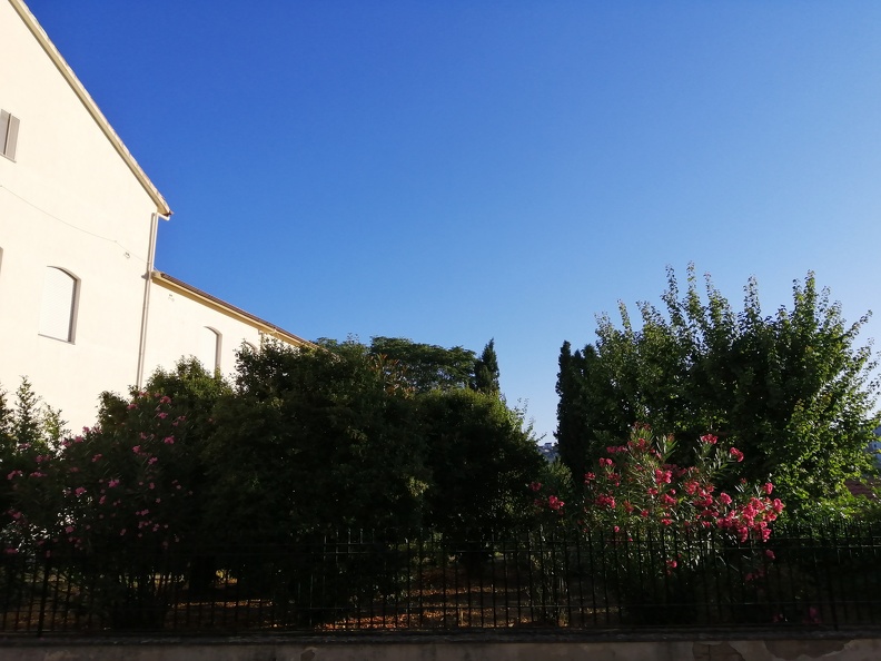 IMG_20190811_070551.jpg
