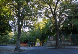 viale